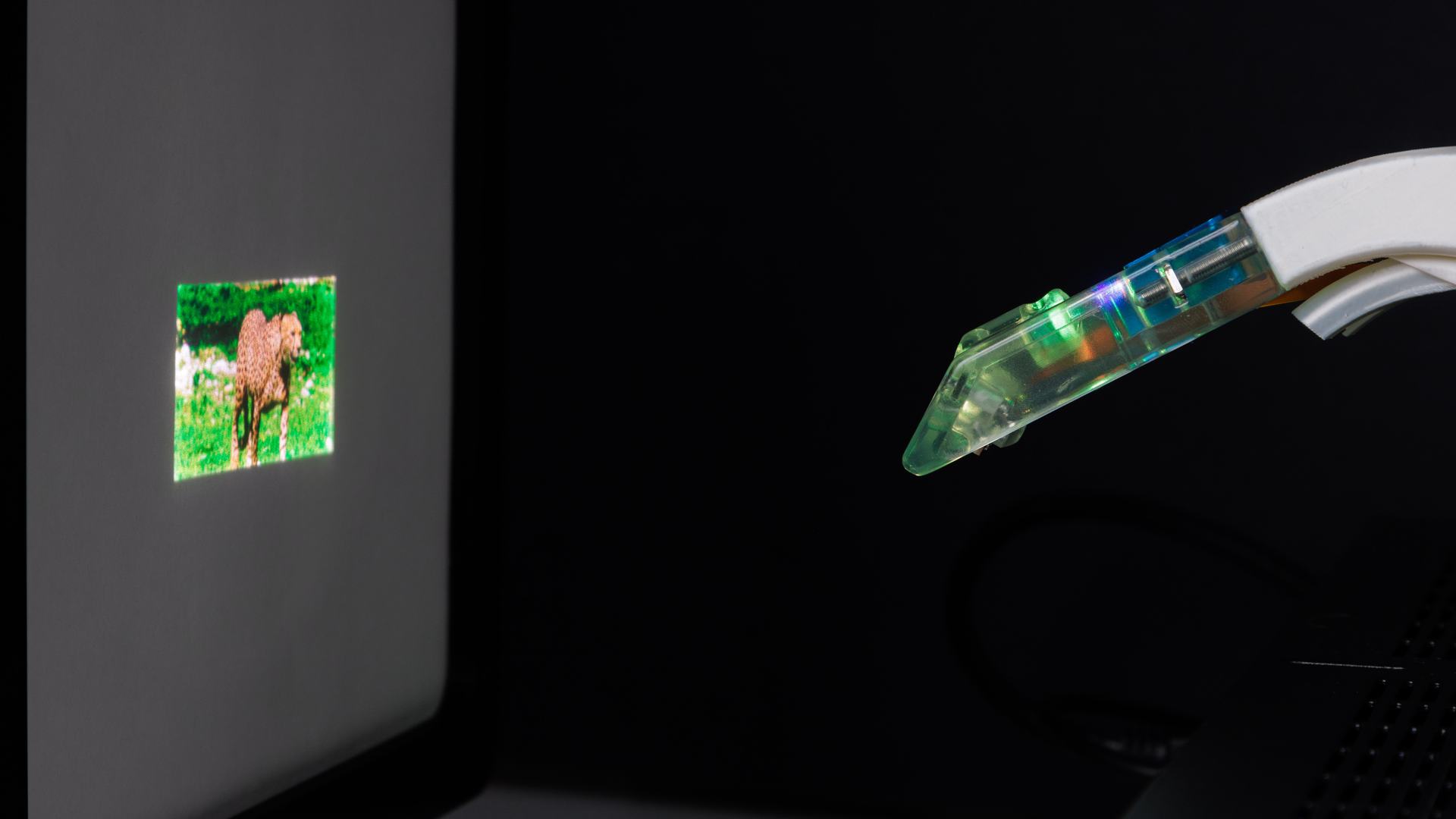 A small handheld device with a green-tinted transparent tip points toward a screen displaying a colorful image of an animal in grass.